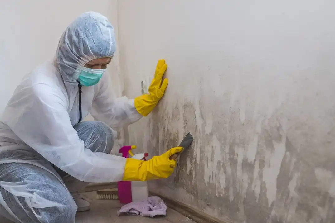 water damage restoration service Hawthorne Hills